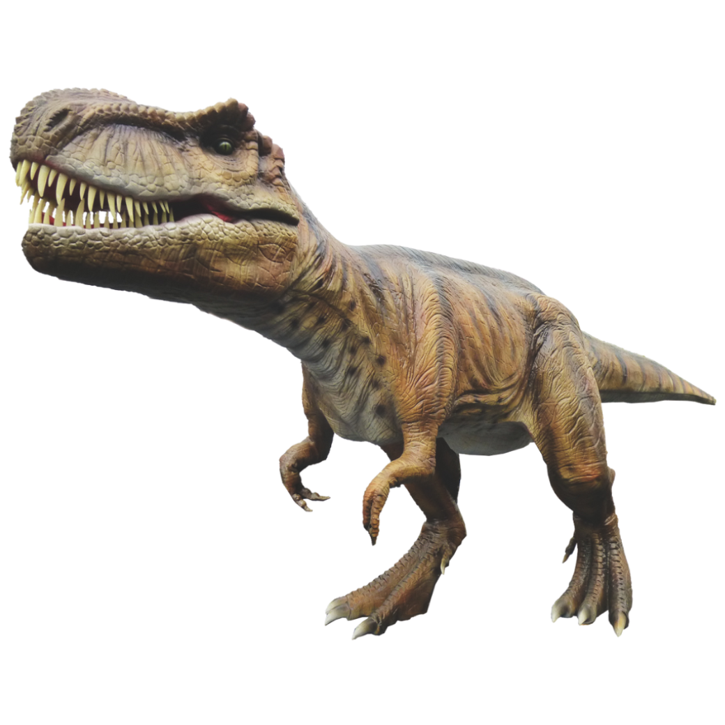 ティラノサウルス.png